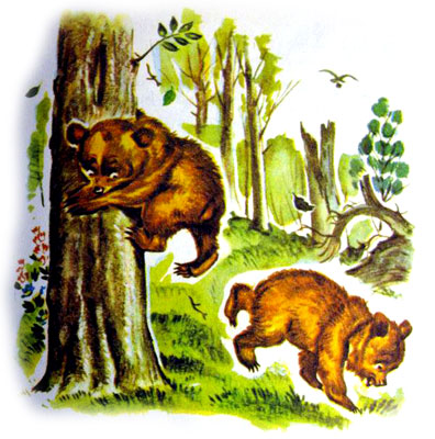 قصه کودکانه ماجرای سه بچه خرس-داستانهای مصوّر رنگی برای کودکان -ارشیو قصه و داستان ایپابفا